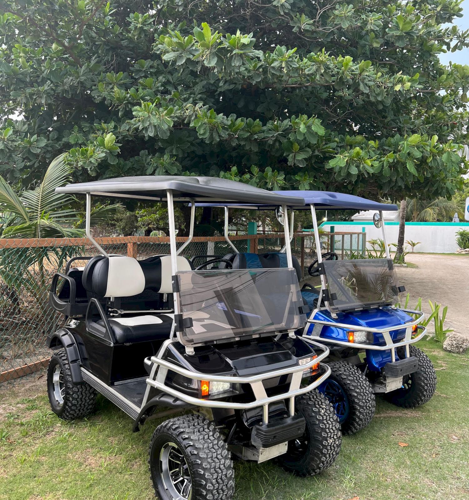 Thrifty Dollar/San Pedro Golf Cart Rental