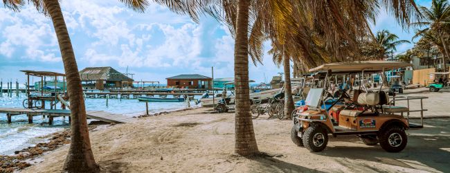 Thrifty Dollar/San Pedro Golf Cart Rental