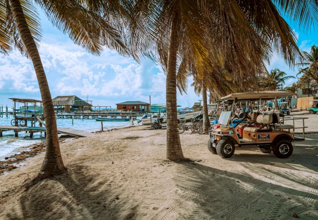 Thrifty Dollar/San Pedro Golf Cart Rental